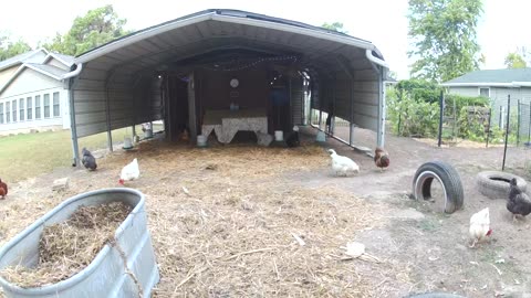 Breakfast Time!