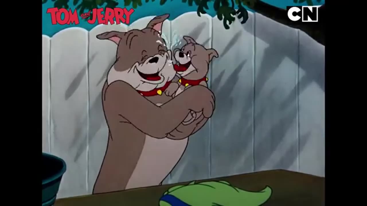 Tom and Jerry fun fest!