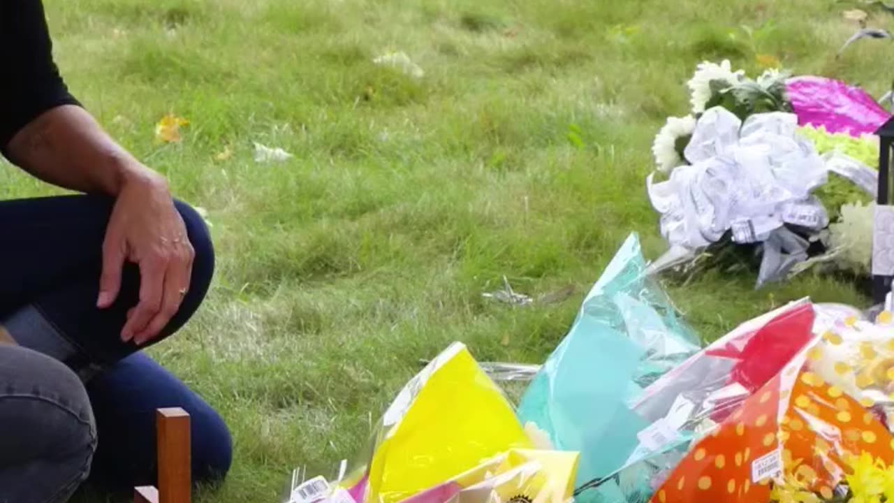 GUN LAWS IN ACTION - VOL. 646: THE TRAYNOR FAMILY MASSACRE