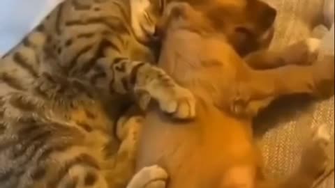 SIMPLY ADORABLE 🥰