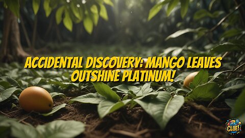 Mango Leaves: A Sustainable Catalyst Revolution in Industry