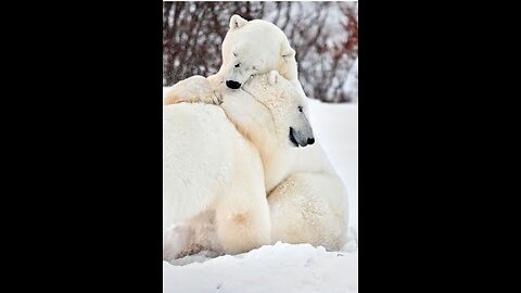 ALERT This Will Change The WORLD 4 MANY PEOPLE Who Were Mis-Led Or Never Had It SPIRITUALLY Xplained