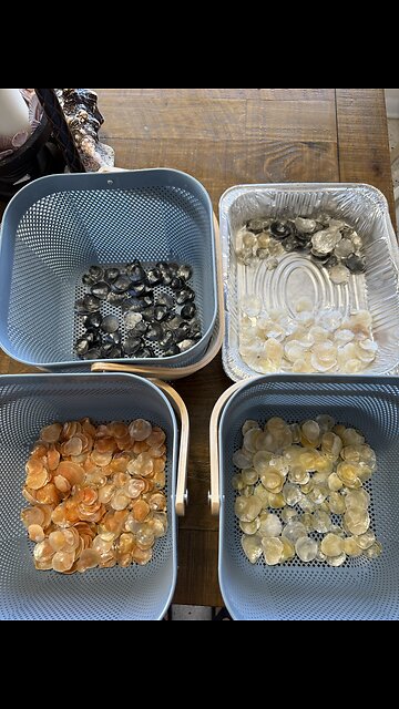 Inventory Restock -Jingles | 4K