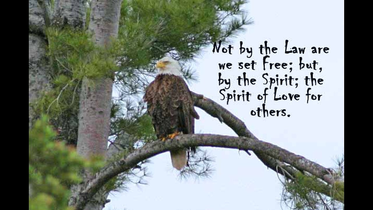 The Law Is Our Delight