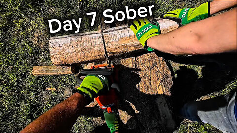 Day 7 Sober: Cutting Firewood with My Dad