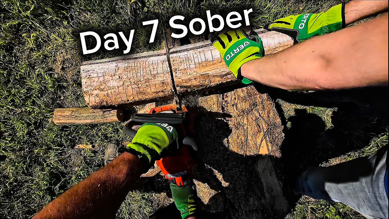 Day 7 Sober: Cutting Firewood with My Dad