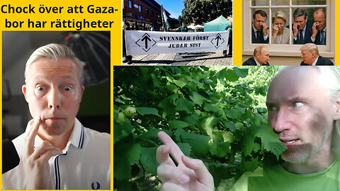 Nötter. Sociala media då och nu. Spika gelé. 9e september. Fredsskräck. Nasse-djur. Jönsson Gazad
