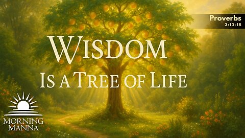 Morning Manna - June 11, 2025 - Proverbs 3:13-18 - Happy Is The Man That Finds Wisdom