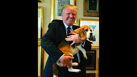 The man descends from the dog (Donald Trump Speech)