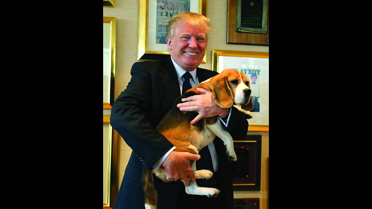 The man descends from the dog (Donald Trump Speech)