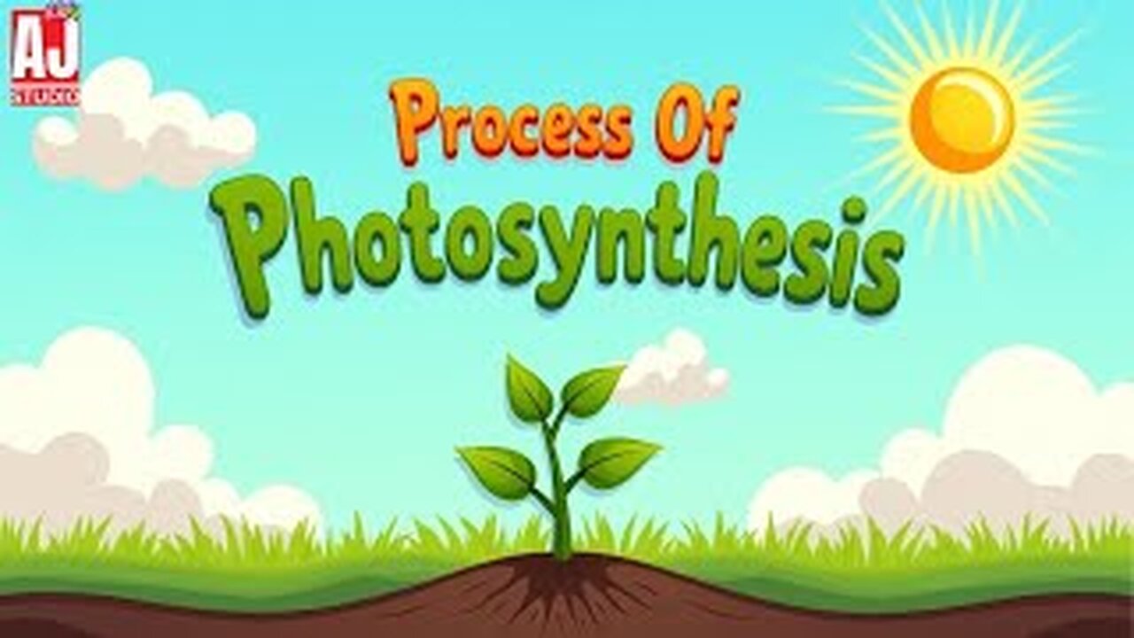 How Plants Make Food | Process of Photosynthesis for Kids😊