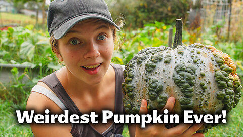 I Grew A Rare Heirloom Pumpkin