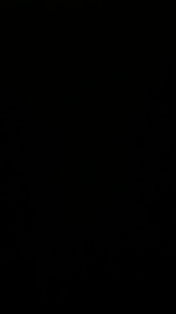 The Fox News Channel