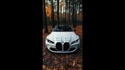 BMW CLIPS