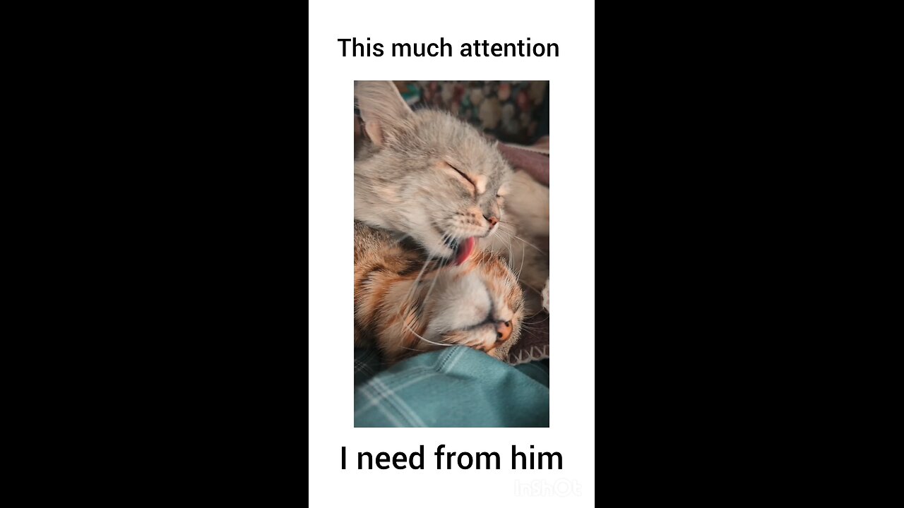 Attention level 💯