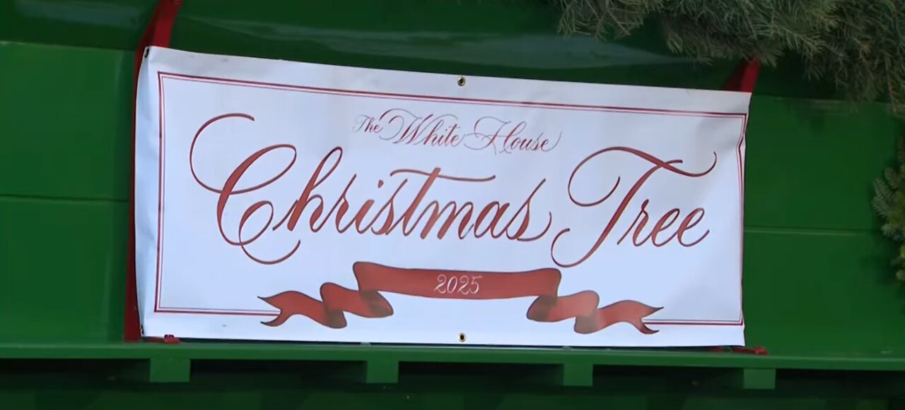 White House Christmas Tree Arrival VER 2 LONGER