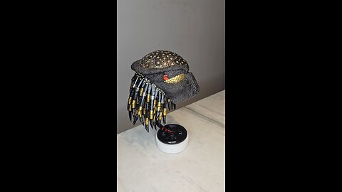 Predator Head - Bullets Art
