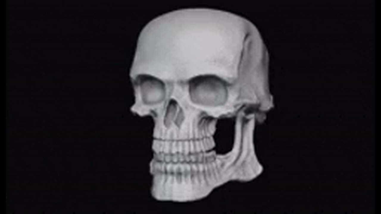 skull animation