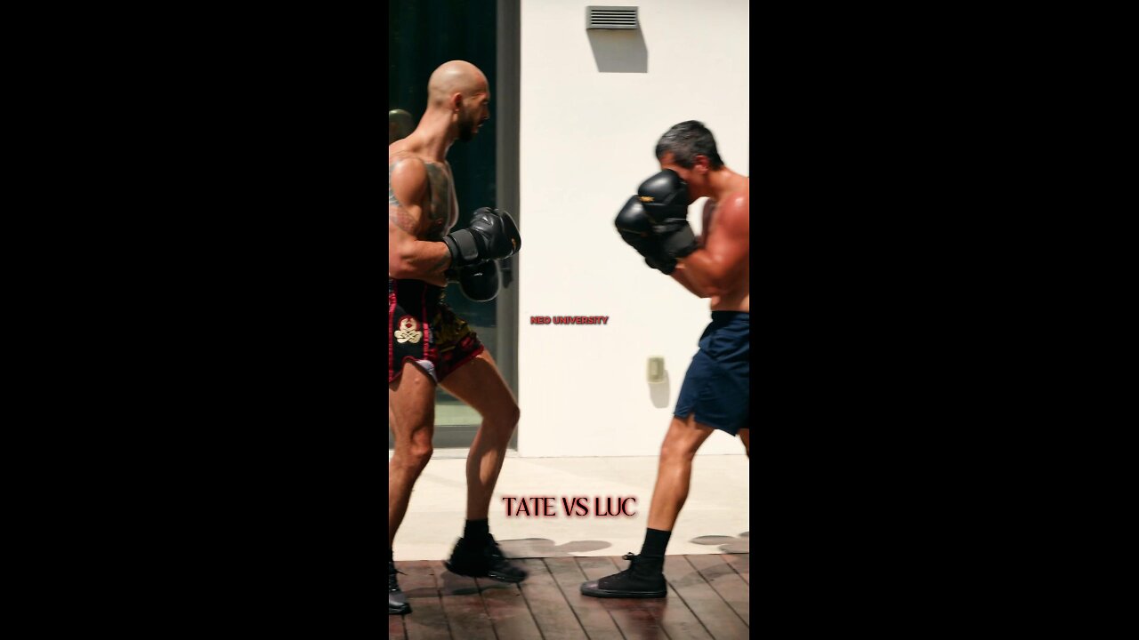 Tate vs Luc
