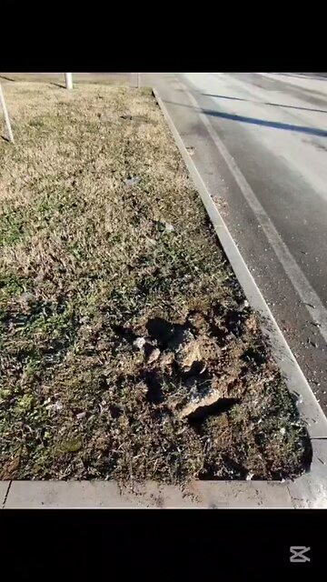 che succede a Magenta?