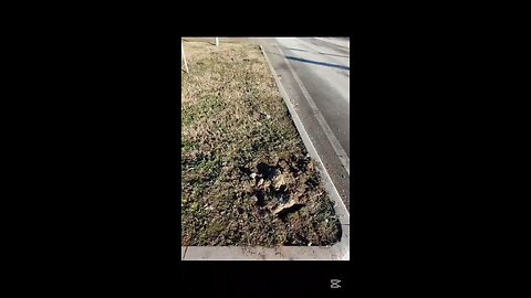 che succede a Magenta?