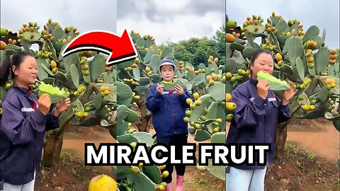 The simple way to enjoy a cactus young leaf #plants #foodie #fruit