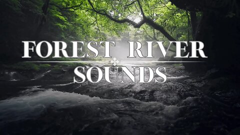 ONLY Relaxing River Stream Sounds - Mist Forest Ambience - Water Sounds