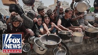 'HUMAN TIDAL WAVE': Desperate Gazans swarm aid site