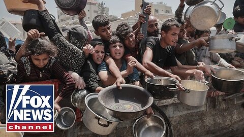 'HUMAN TIDAL WAVE': Desperate Gazans swarm aid site