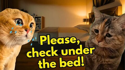 When a Cat thinks there is a monster hiding in the bedroom (Ep.27)