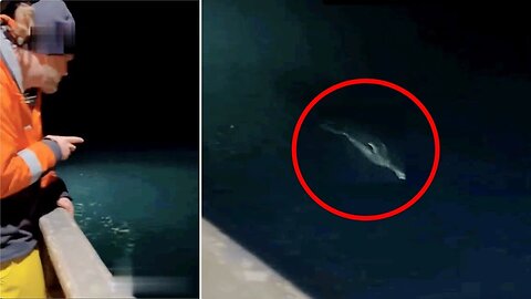 This Fisherman's Ship Was Shut Down After He Released This Video