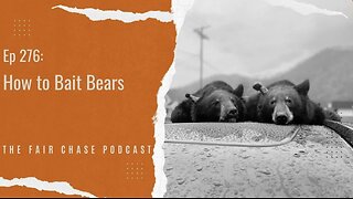 How to Bait Bears