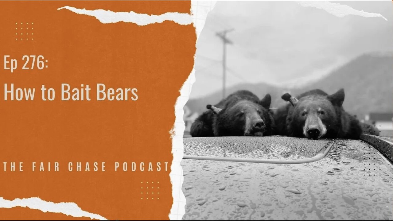 How to Bait Bears