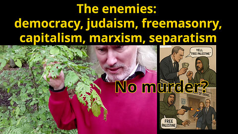 EU bought a secret service. "Nazi!" fails. Harvard vs Trump. AntiZionist words. Sunbath your balls!