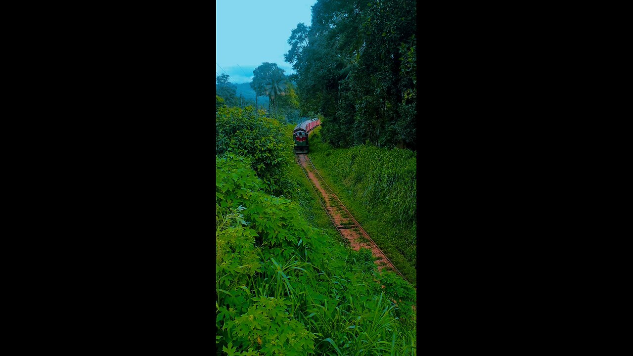 Srilankan Railways