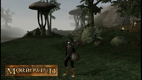 The elder scrolls III Morrowind p.2
