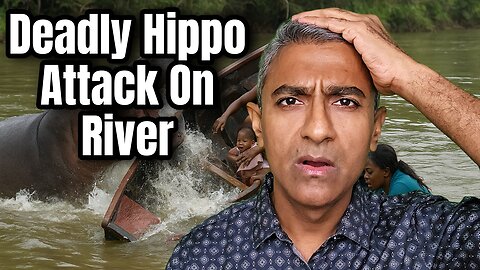 Deadly Hippo Attack in Ivory Coast: Boat Capsizes on Sassandra River, 11 Missing Including Children