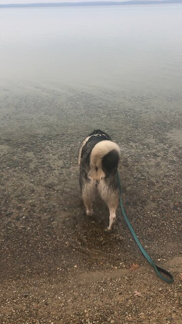 Tuesday November 25, Eight days later, the disciples were together again.