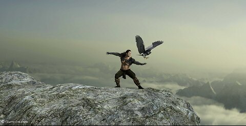 EAGLE HAS LANDED