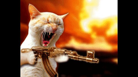 The Most dramatic cats moments ever! 😂🤣 Funny
