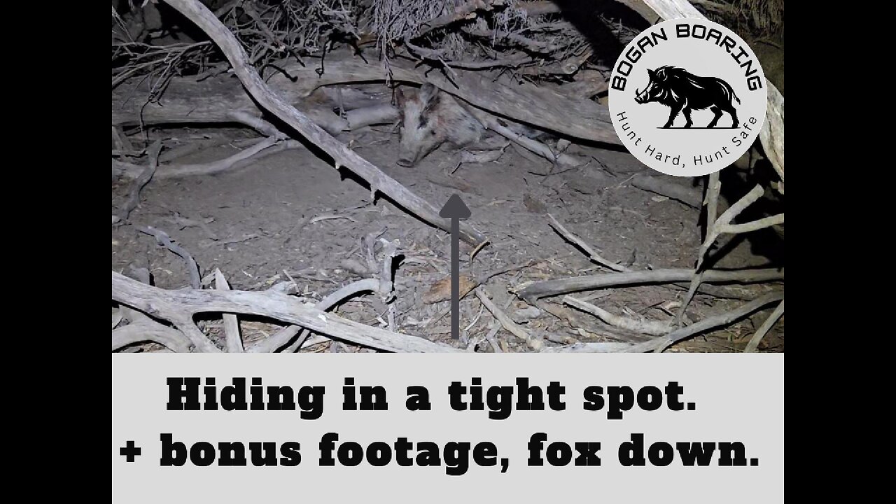 Hiding in a tight spot