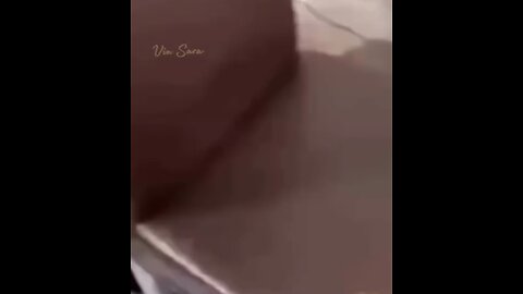 An incredibly talented actor🐿️😂