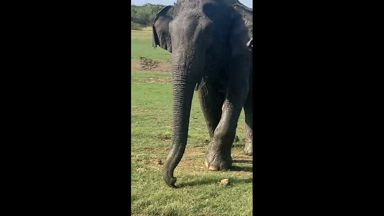 Welcome to Sri Lanka 🇱🇰