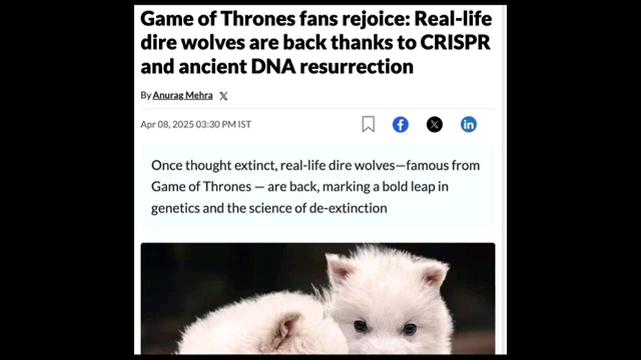 Dire Wolves are back