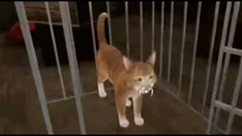 The Cat hypnotized her! | Scary Teacher 3D