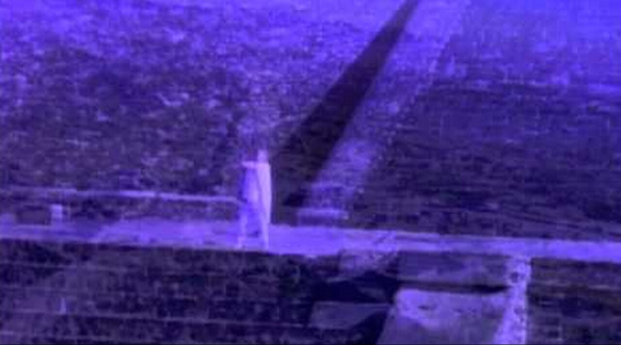 Gowan Moonlight Desires ( Video ) HD