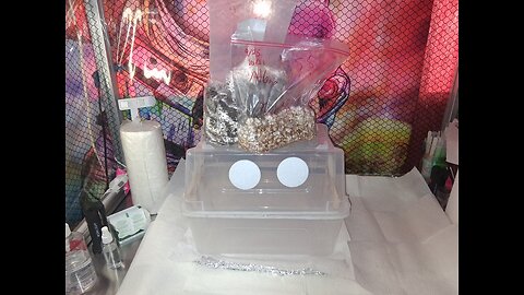 Modded DubTub Spawn to Bulk Mycology Mondays #137