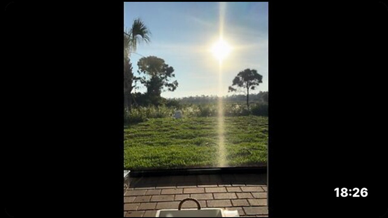 "Morning Warnings by Dr. Jane Shorts"