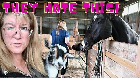 Our HORSES Hate Days LIKE This!
