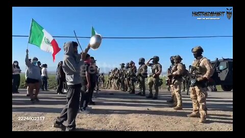 Raid et affrontements de la ICE et des illégaux dans une ferme de Cannabis - The Storm Is Coming #36